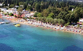 Tümü