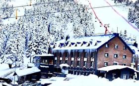 Tümü
