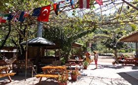 Tümü