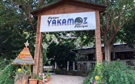Tümü