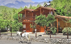 Tümü