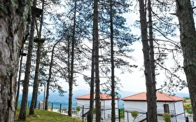 Aktivite & Eğlence