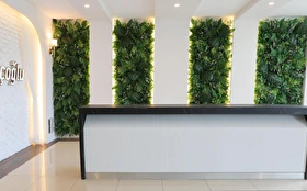 Toplantı & Seminer