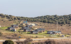 Tümü