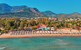 Tümü