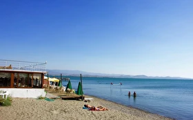 Tümü