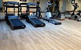 Aktivite & Eğlence