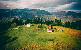 Tümü