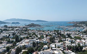 Tümü