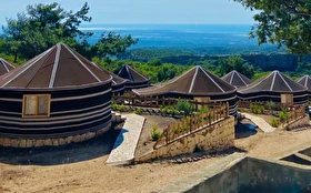 Tümü