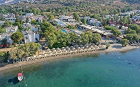 Tümü