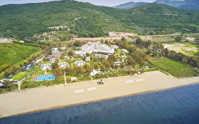 Tümü