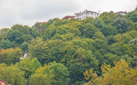 Tümü