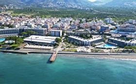 Tümü