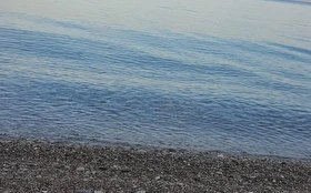 Plaj & Havuz