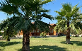Otel Dışı