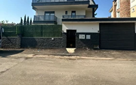 Tümü