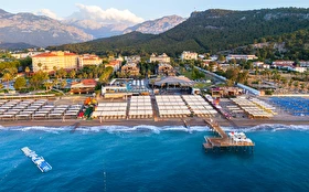 Tümü