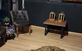 Toplantı & Seminer
