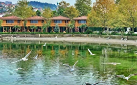 Tümü