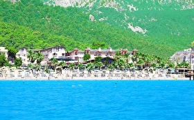 Tümü