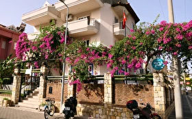 Tümü