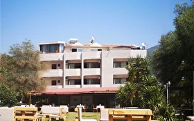 Tümü