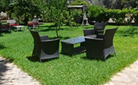 Toplantı & Seminer
