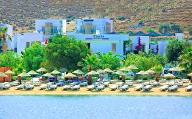 Tümü