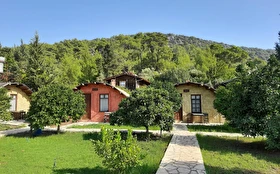 Tümü