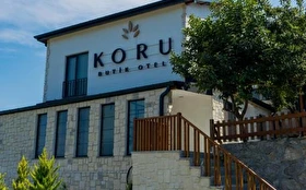 Tümü