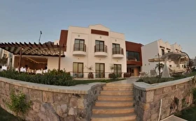 Tümü
