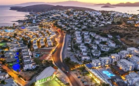 Tümü
