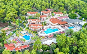 Tümü