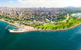 Tümü