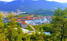 Tümü