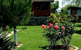 Genel