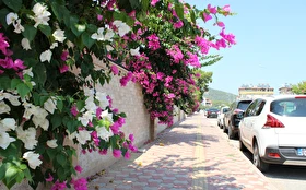 Otel Dışı