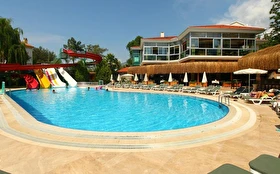 Tümü