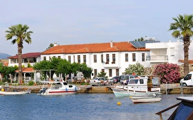Tümü