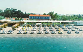 Tümü
