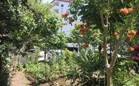 Otel Dışı