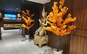 Spa & Termal