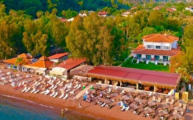 Tümü
