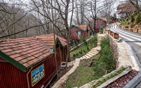 Tümü
