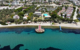 Tümü