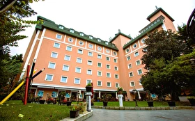 Tümü