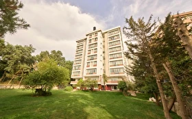 Tümü