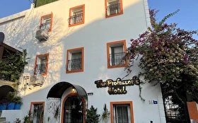 Tümü