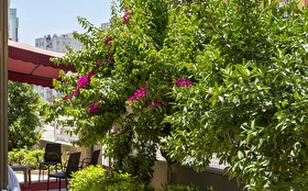 Otel Dışı